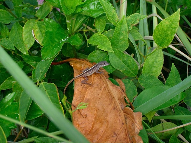 PA030161