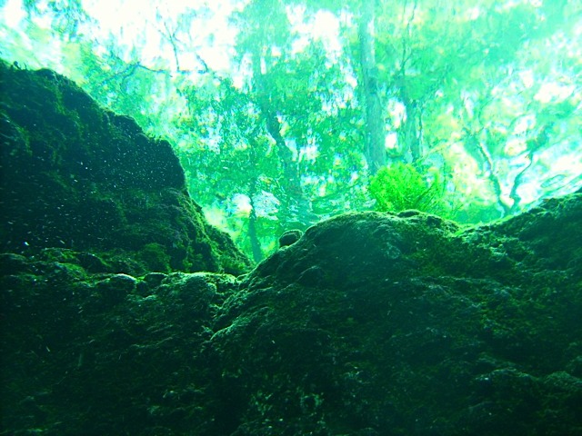 PICT0026