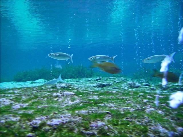 PICT0037