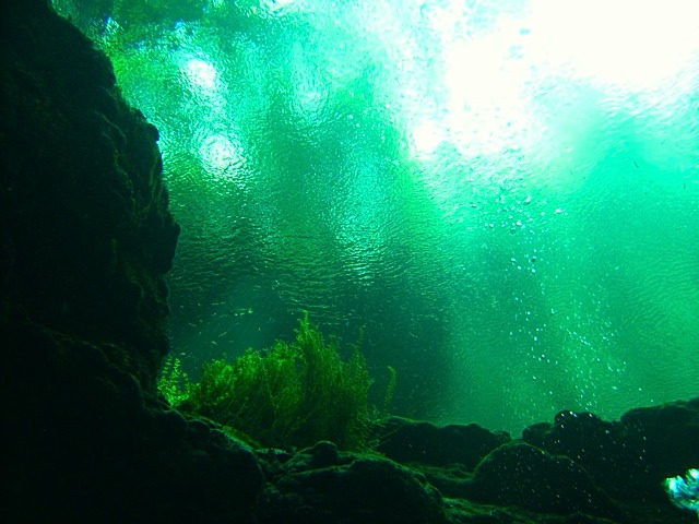 PICT0048