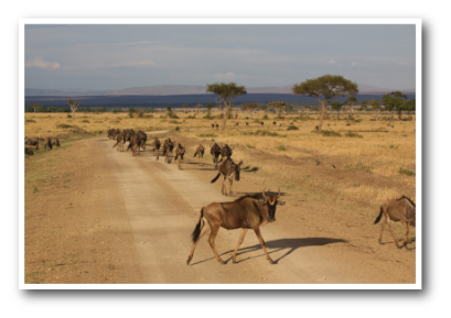 stacks_image_738410CE-6CB2-4F18-92AD-31A9F7662D54