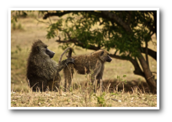 stacks_image_0C233C8F-B868-415E-9AF1-8362713DAB66