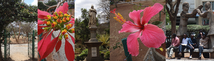 stacks_image_8CDE9F8A-D955-4F39-98CE-9817E9046799